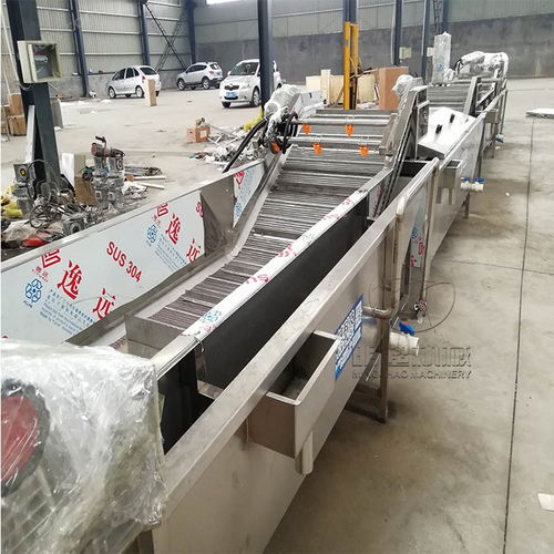 全自动榨菜清洗加工工艺与成套设备技术解析