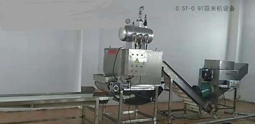 小形蒜米市场报价与加工厂家器材全解析